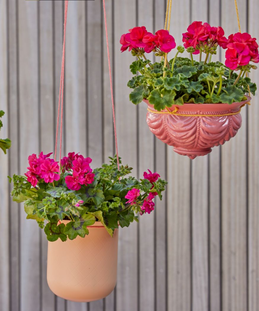 Blumenampel für Balkon & Garten: Die schönsten Ideen mit Geranien
