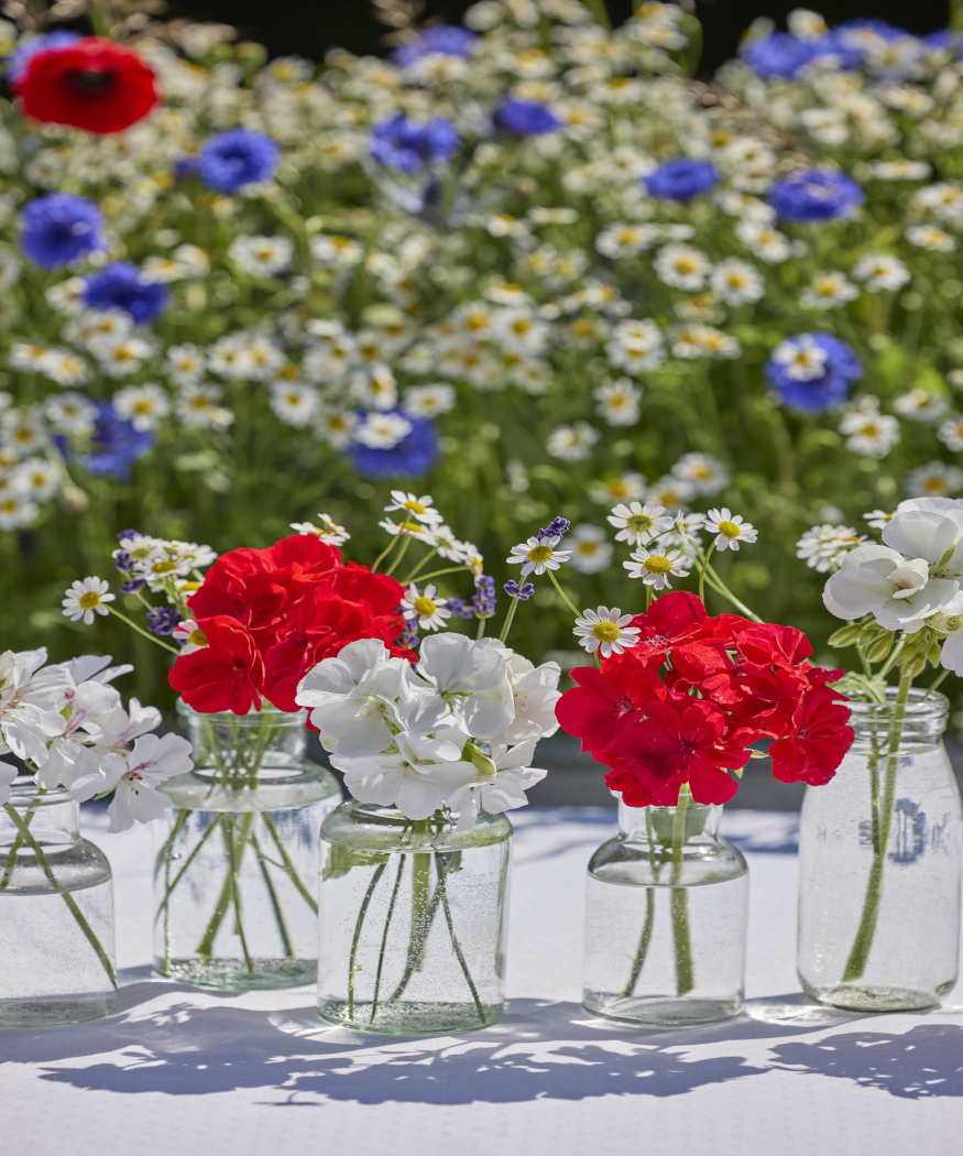 Geranien auf der Sommertafel. Blühende Ideen für Picknick, Cottage-Atmosphäre und moderne Tafeln