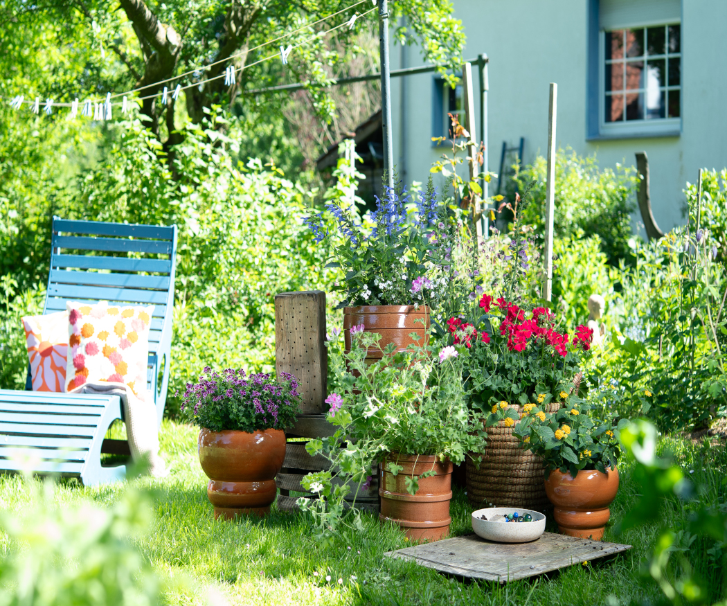 Kreative Naturgärten mit Geranien. Nachhaltig, farbenfroh und mit viel DIY-Flair