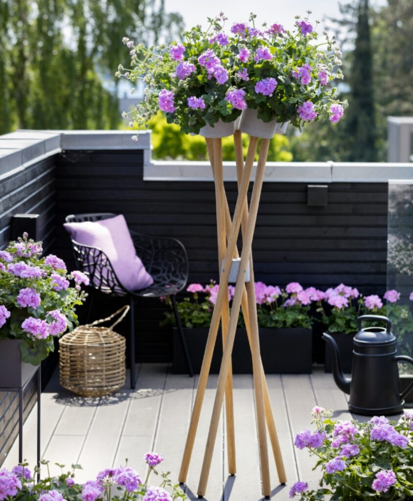 Balkon mit violetten Geranien in Pflanzgefäßen auf verschiedenen Höhen, einheitliches Farbkonzept als Gestaltungsidee