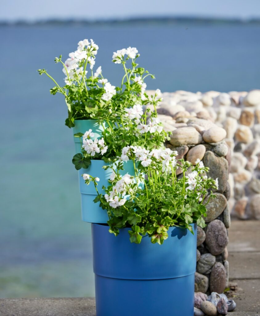 Weiße Geranien in gestapelten blauen Blumentöpfen – Balkonidee mit Farbe und vertikaler Anordnung