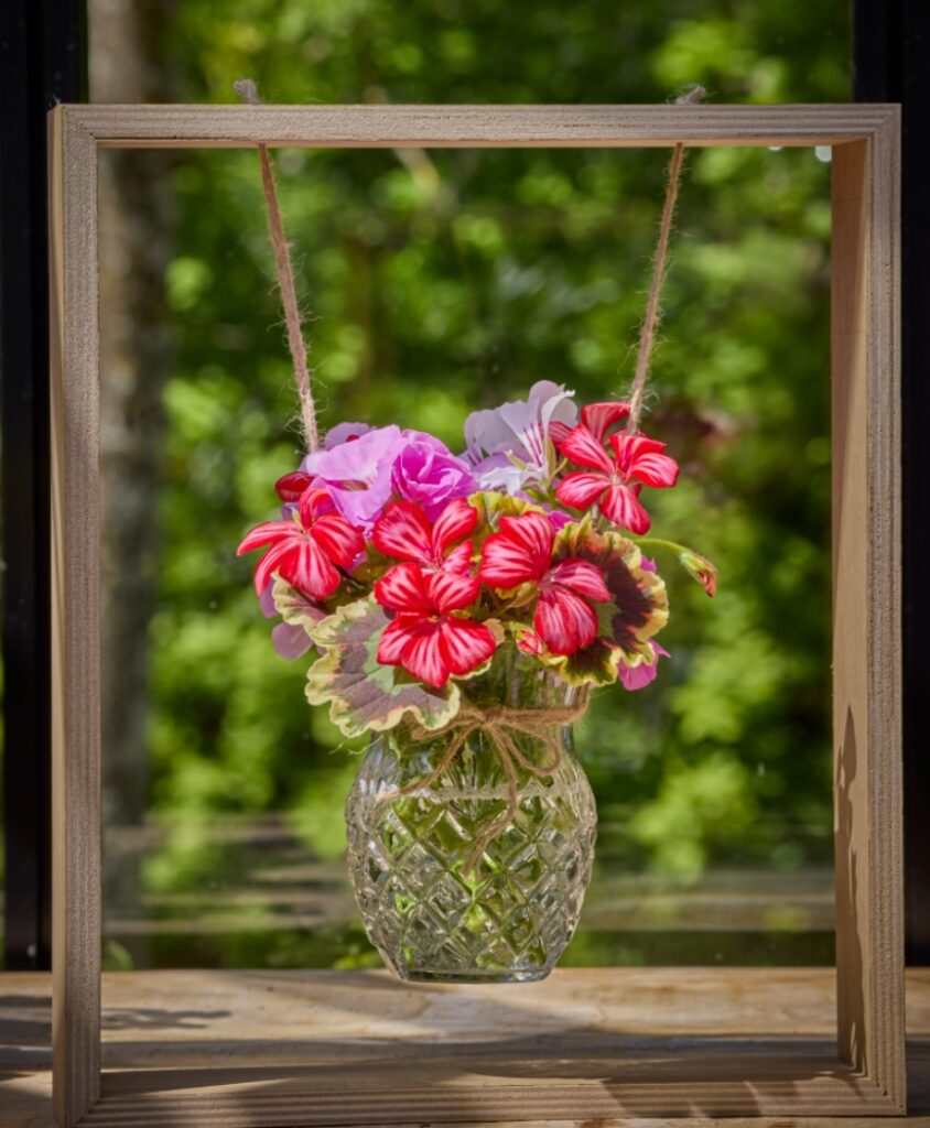 Hängende Glasvase mit Geranien in einem Holzrahmen vor grünem Hintergrund; natürliche Lichtstimmung.
