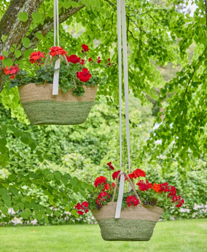 Hängende Pflanzkörbe mit roten Geranien als kreative Gartenidee unter einem Baum