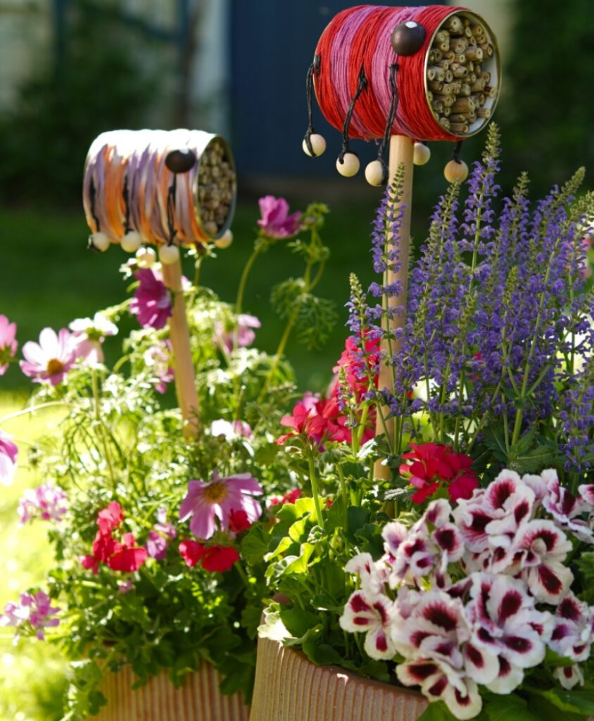 Zwei fertig gebastelte Insektenhotels in bunten Dosen, platziert in Blumenkübeln zwischen üppigen Geranien, Schmuckkörbchen und Steppensalbei als wertvoller Lebensraum für Bienen.