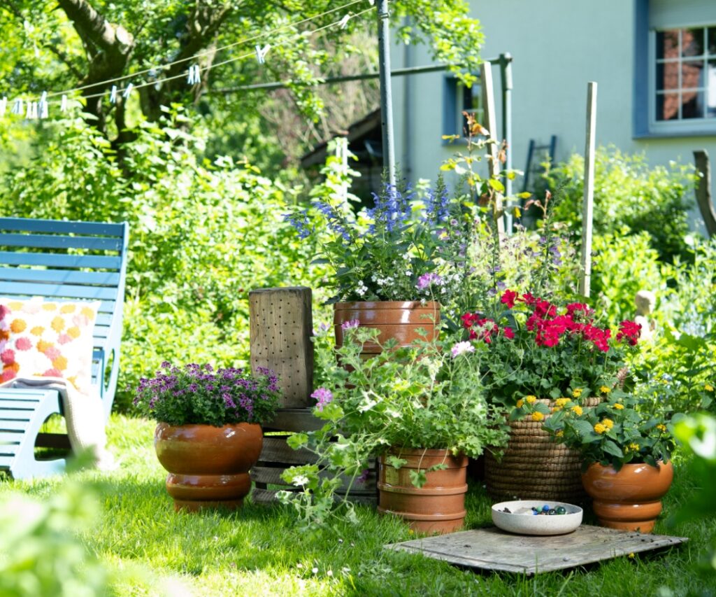 Ein sonniger Gartenplatz mit einer Vielfalt an Geranien und anderen Blumen in Kübeln, die durch ihre Blütenpracht ein Paradies für Bienen und Nützlinge bieten.