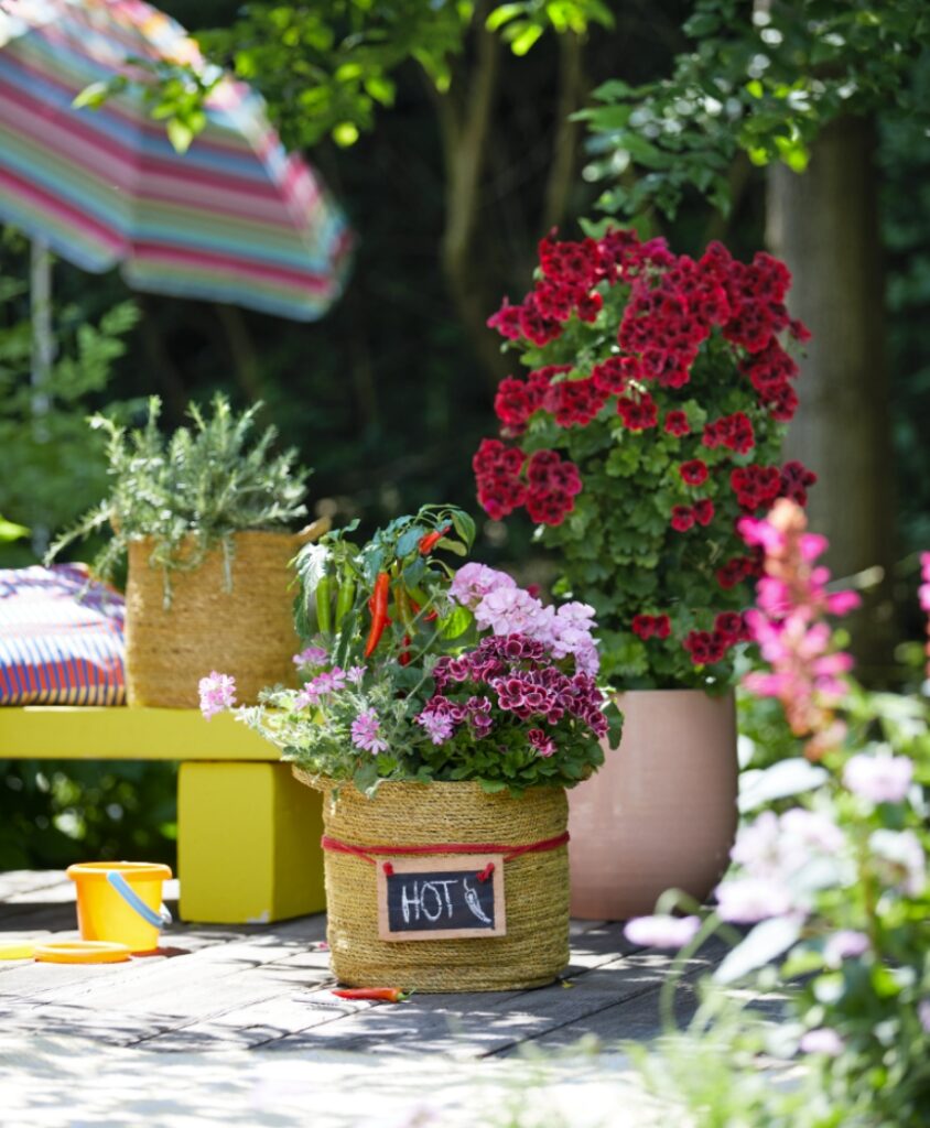 Sommerliche Terrassengestaltung mit üppig blühendenn, die den ganzen Sommer über als sogeannte Werbeschildpflanzen für Bienen fungieren.