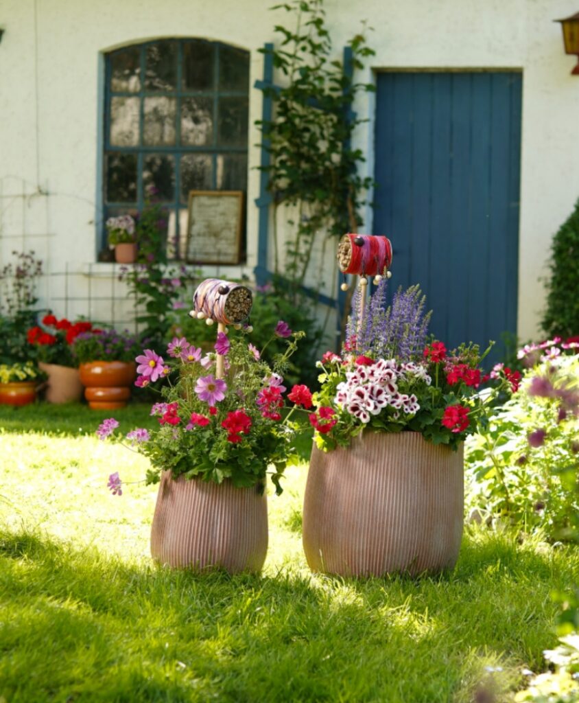 Ein einladender Hintereingang mit großen Kübeln voller Geranien und anderen Pflanzen, die als farbenfrohe Begrüßung für Gäste und Bienen dienen.